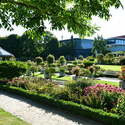 CCH Außenansicht mit Park Panten un Blomen /  CCH exterior view with Park Panten un Blomen 