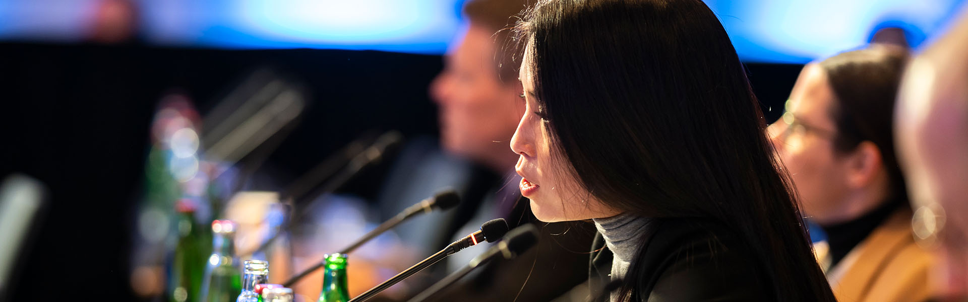 Participants at IISS security conference